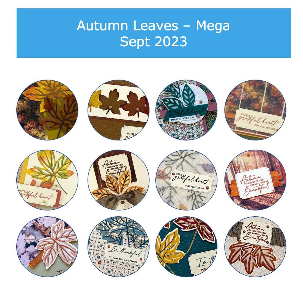 Snippets of 12 cards using the Autumn Leaves Bundle by Stampin' Up!